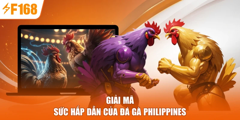 Giải mã sức hấp dẫn của đá gà Philippines